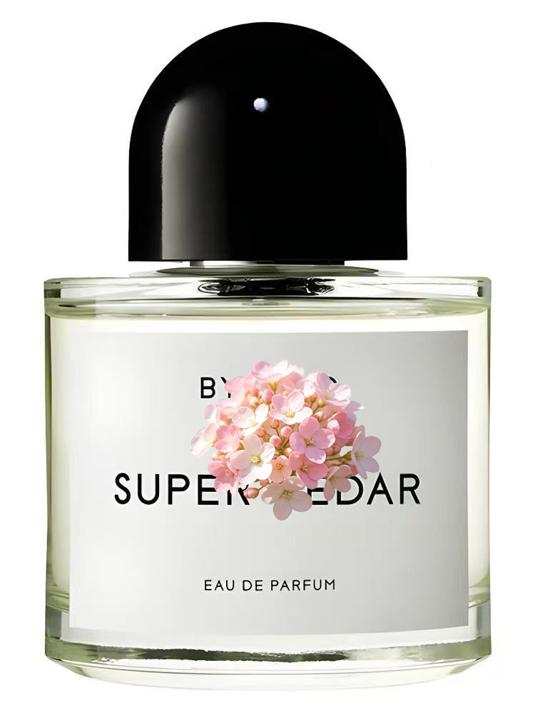 Unisex Eau de Parfum 100ml 3.4 - Perfume Floral Fragrance 评论和价格